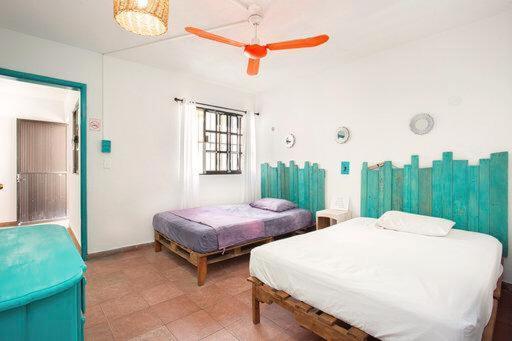 Homestay Casa Calido